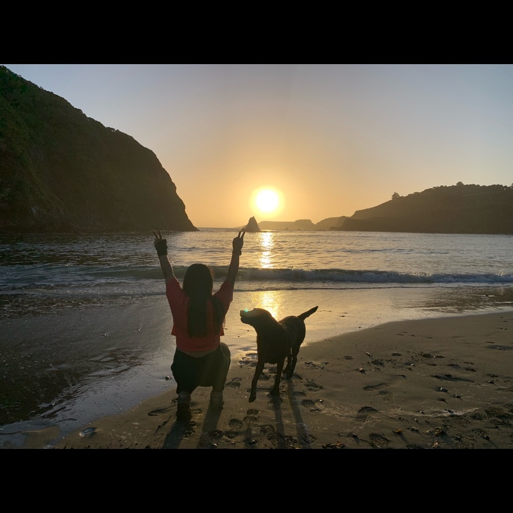 Hi I’m new to Poshmark and I can’t wait to sell my first clothing.